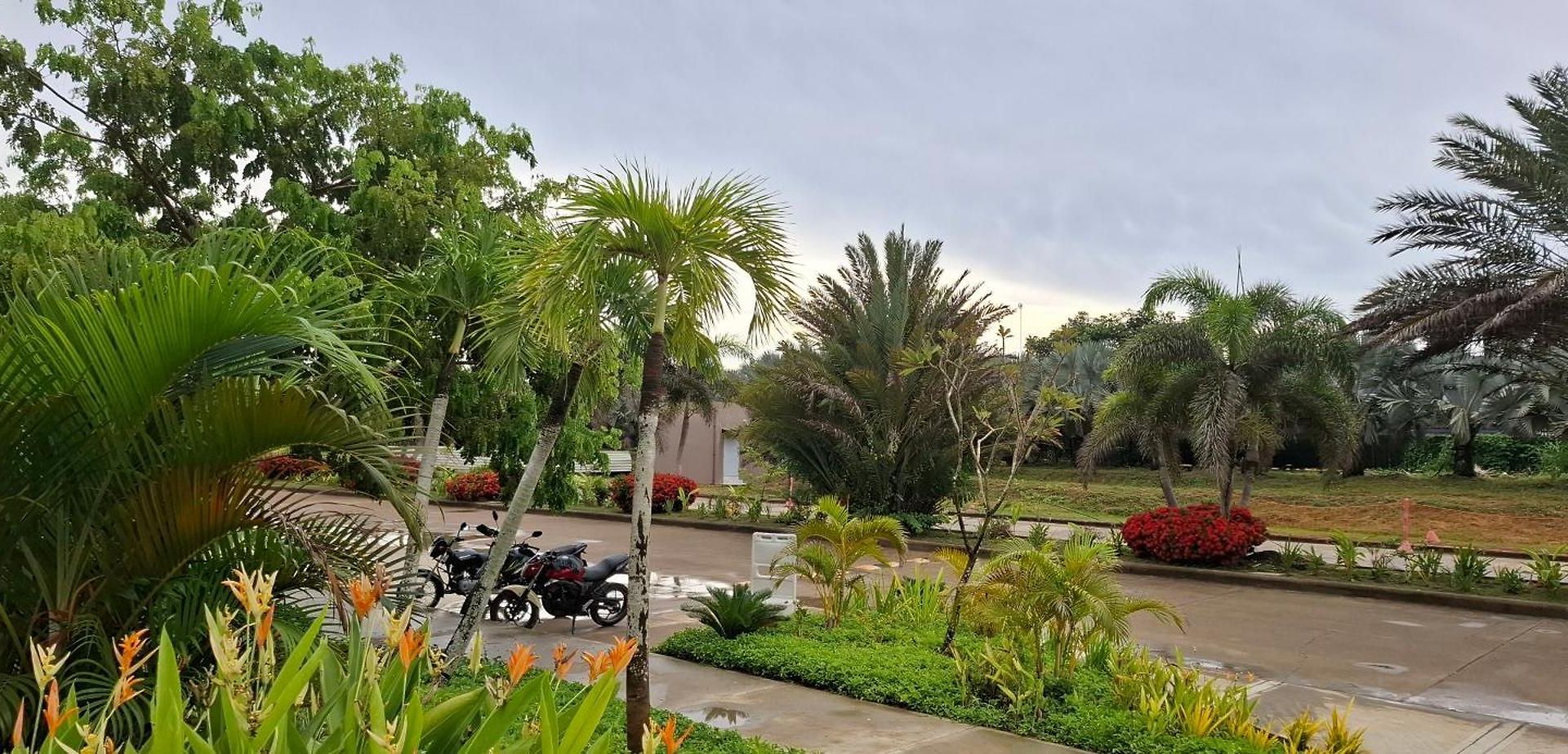 Pure Caribbean Flair In A Secured Family Apartamento *